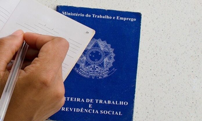 carteira de trabalho foto reprodução