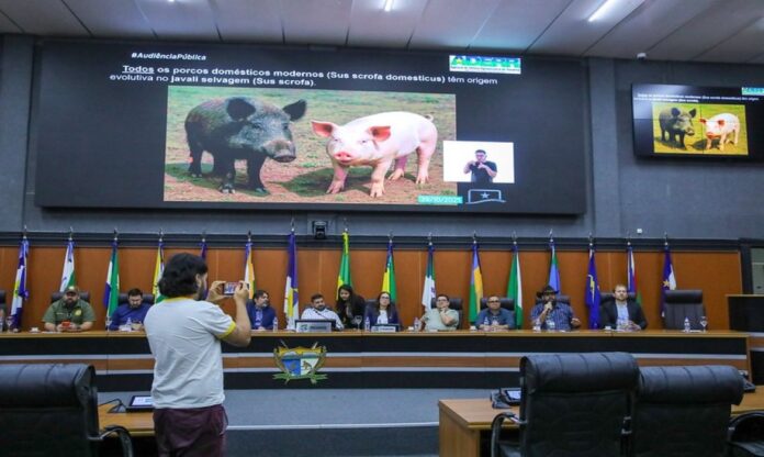audiência pública controle javali - foto NonatoSousa ALERR